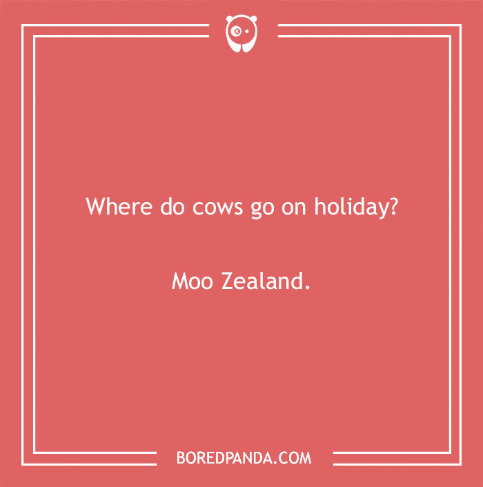 Cow pun joke asking where cows go on holiday with the punchline Moo Zealand highlighting cow puns humor.
