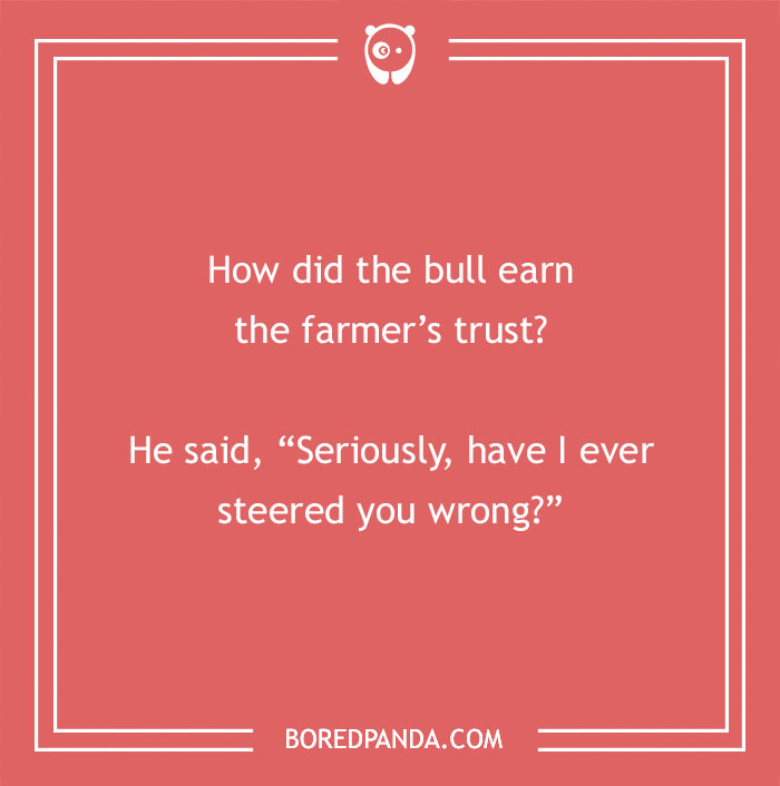 Cow pun on a red background asking how the bull earned the farmer’s trust with a clever steering joke.
