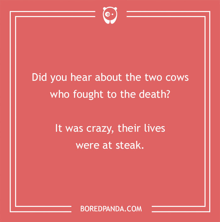 Cow pun joke on a red background about two cows fighting to the death with lives at steak.