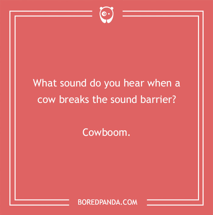 Cow pun on a red background asking about the sound when a cow breaks the sound barrier with the answer cowboom.
