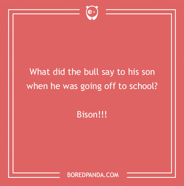 Cow pun on a coral background asking what a bull said to his son going to school with the punchline Bison.
