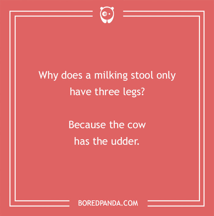 158 Cow Puns That Show How Wonderful These Animals Are Bored Panda