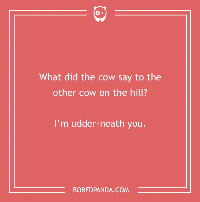 Cow pun asking what one cow said to another on the hill with a playful udder-neath you joke on a red background.