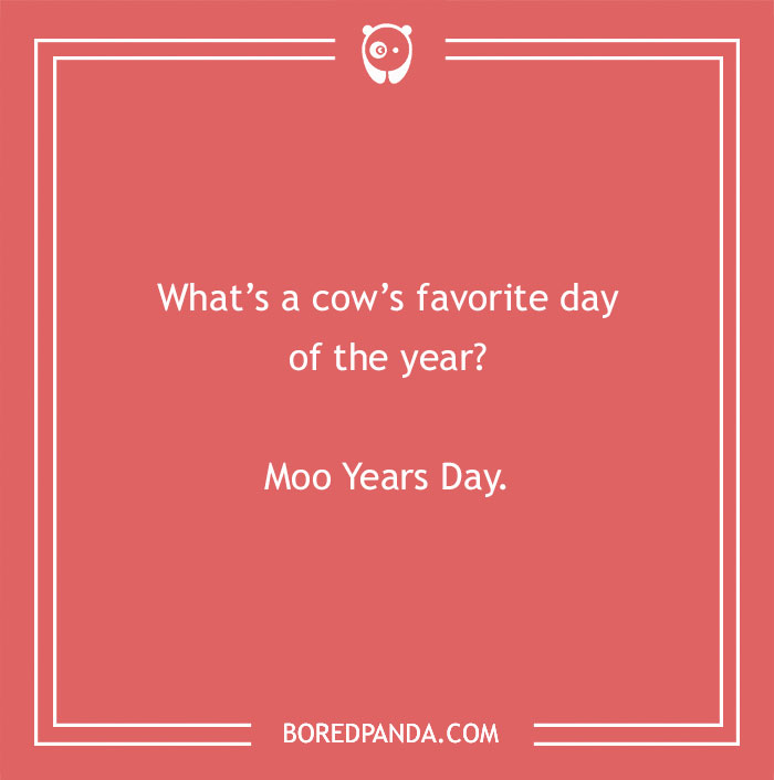 Cow pun image with a joke about a cow's favorite day of the year called Moo Years Day.