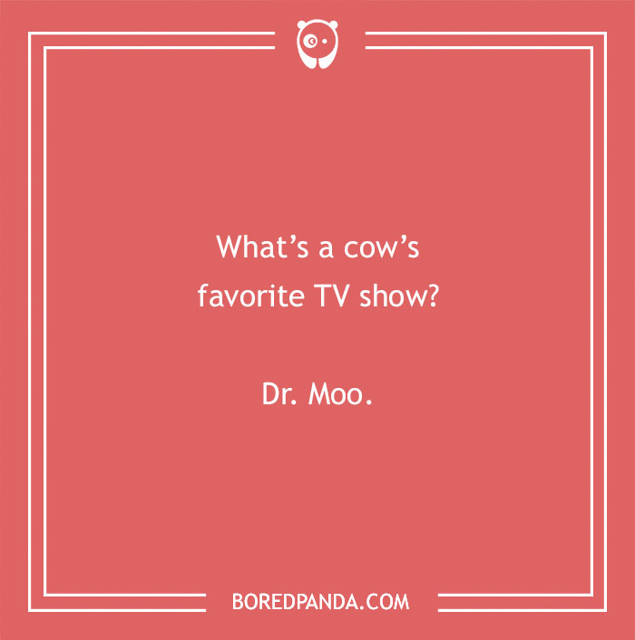 Cow pun humor asking about a cow's favorite TV show with the answer Dr. Moo on a red background.