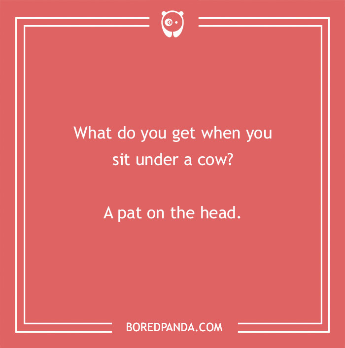 Cow pun