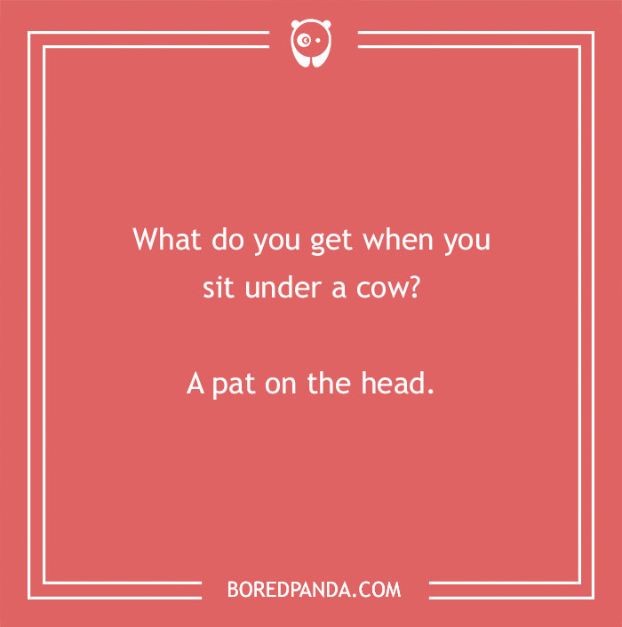 Cow pun on a red background with white text asking what you get when sitting under a cow and giving a playful answer.