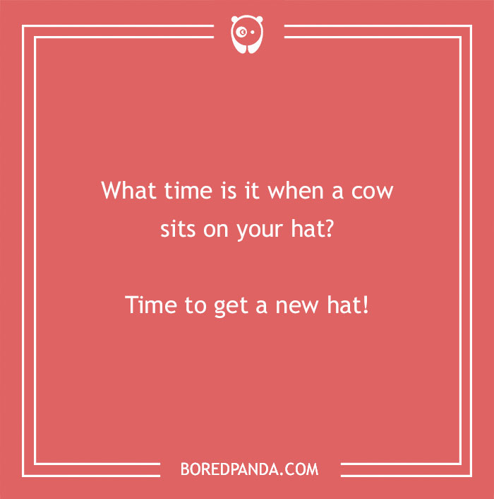Cow pun on a red background asking what time it is when a cow sits on your hat with a humorous punchline.