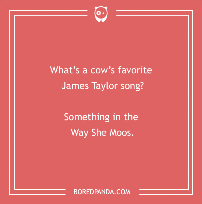 Cow pun