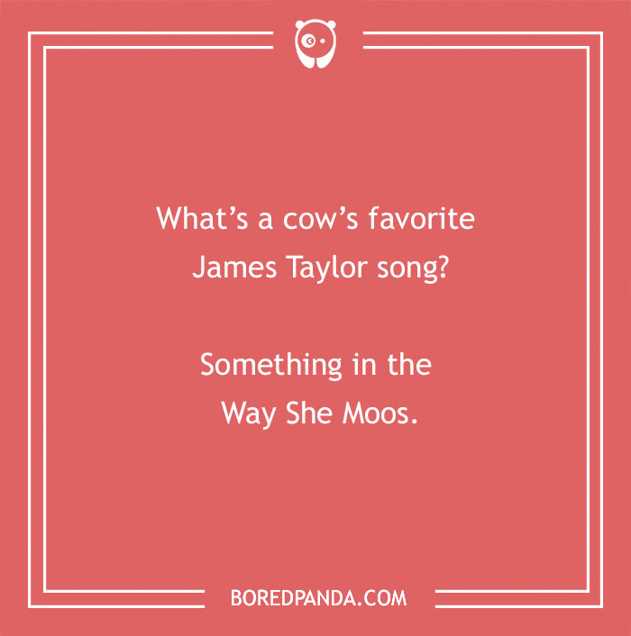Cow pun joke asking about a cow's favorite James Taylor song with a humorous play on words.