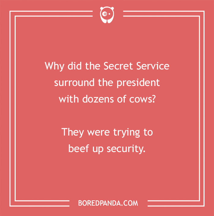 Cow pun humor about the Secret Service surrounding the president with cows to beef up security.