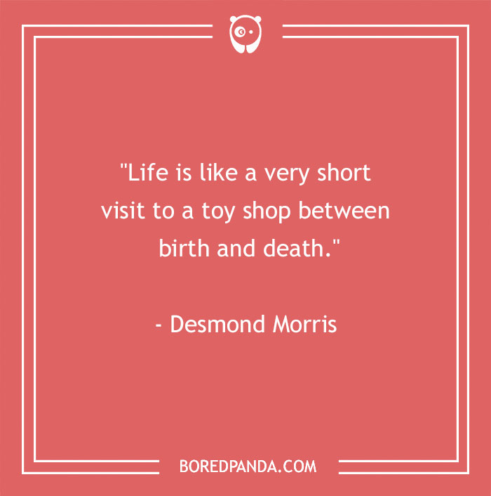 181 Life And Death Quotes That Are Actually Quite Inspiring