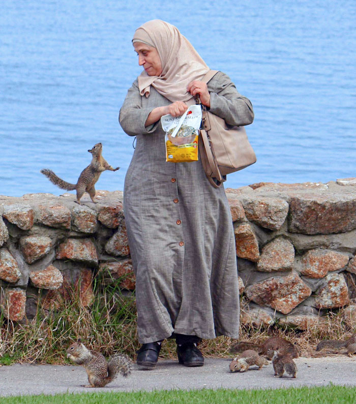 Woman Feeding Squirrels In Lovers Point Park, California