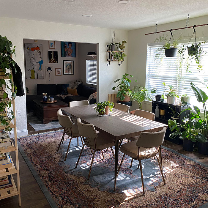 Room with plants and table with chairs