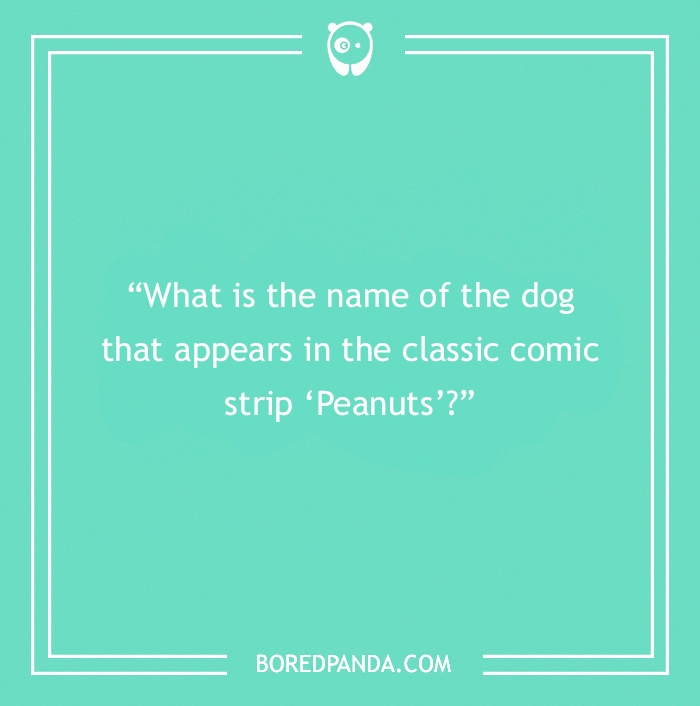 Fun Dog Trivia About All The Good Bois And Gals