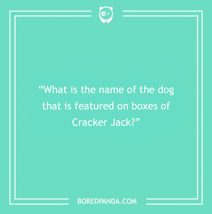Fun Dog Trivia About All The Good Bois And Gals