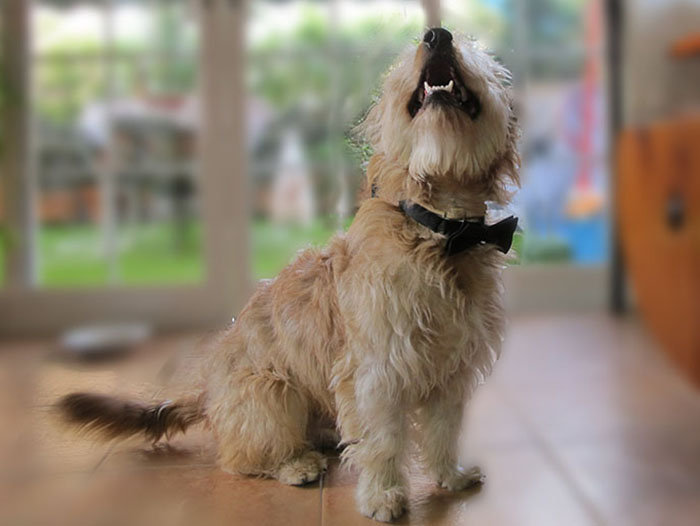 Parents Get Mad About Living In Daughter’s Totally Converted Garage, She Suggests The Nursing Home Parents Get Mad About Living In Daughter’s Totally Converted Garage, She Suggests The Nursing Home