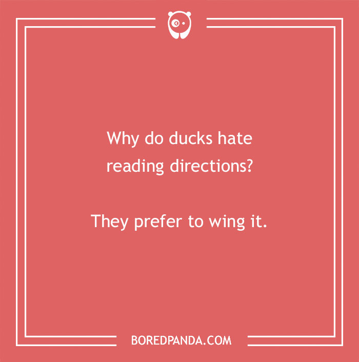 Duck pun about reading directions on a pink background with Bored Panda logo.