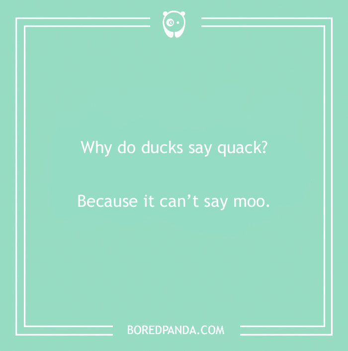 Duck pun image with text: "Why do ducks say quack? Because it can’t say moo," on a green background.