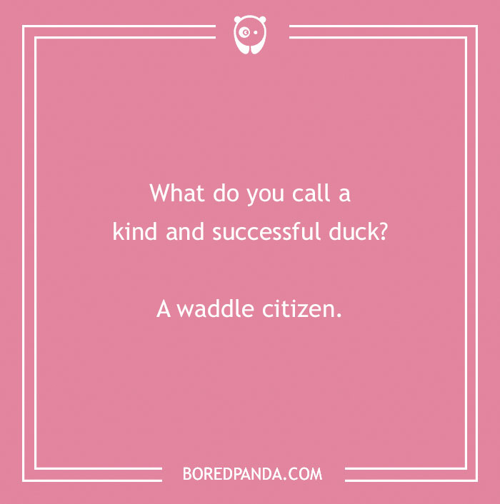 Image of a pink background with a duck pun asking what you call a kind and successful duck: "A waddle citizen."