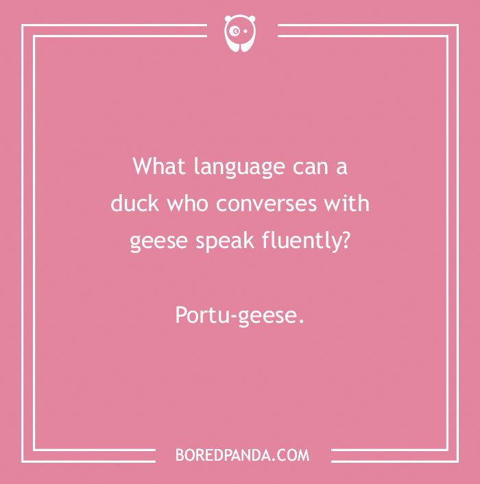 Duck pun joke on a pink background: “What language can a duck who converses with geese speak fluently? Portu-geese.”