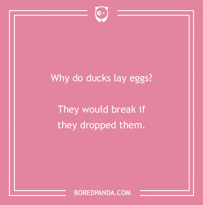 Duck pun on a pink background: "Why do ducks lay eggs? They would break if they dropped them."