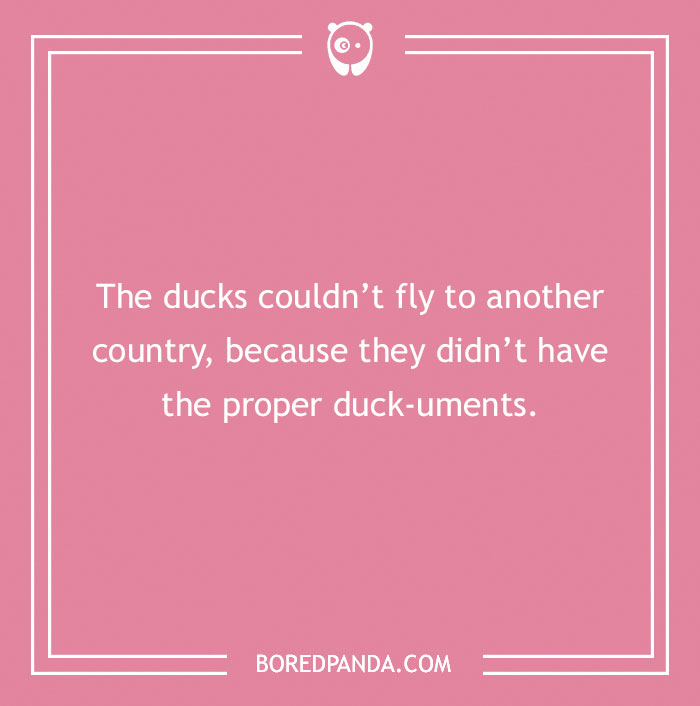 Pink background with text pun: "The ducks couldn’t fly because they didn’t have the proper duck-uments." Duck puns humor.