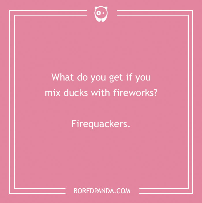 Duck pun on a pink background: "What do you get if you mix ducks with fireworks? Firequackers."