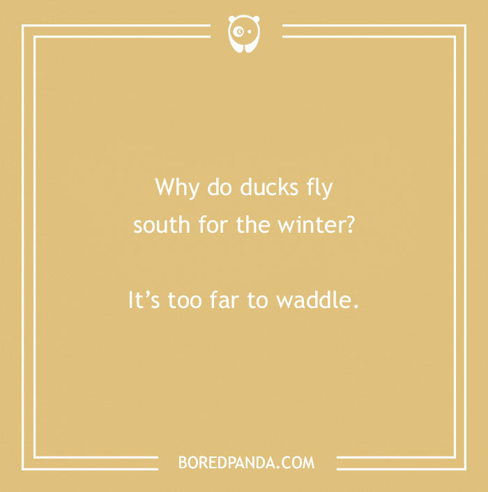 149 Duck Puns That Might Quack You Up