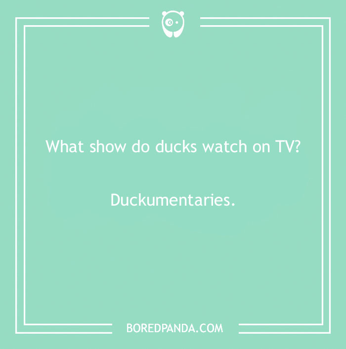 Duck pun joke on a green background asks, "What show do ducks watch on TV?" with answer, "Duckumentaries."