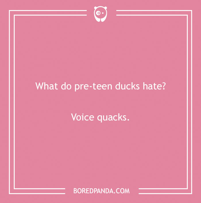 Pink background with duck pun text: "What do pre-teen ducks hate? Voice quacks."