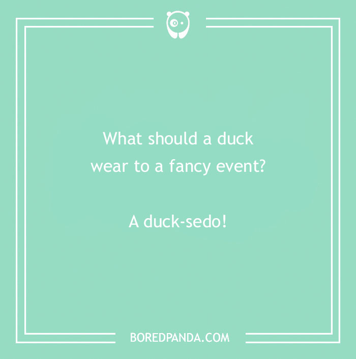 Text image with a duck pun: "What should a duck wear to a fancy event? A duck-sedo!"