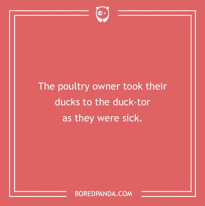 Duck pun saying, "The poultry owner took their ducks to the duck-tor as they were sick," on a red background.