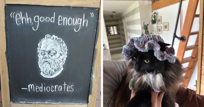 Hey Pandas, Post The Weirdest Photo On Your Phone (Closed)