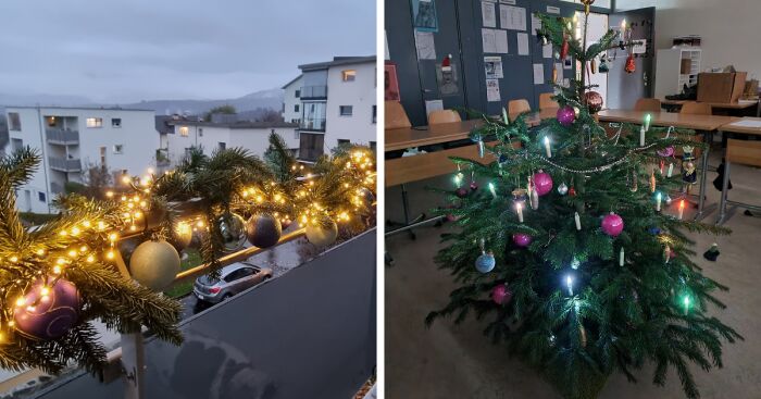 Hey Pandas, Show Us Your Christmas Decorations (Closed)