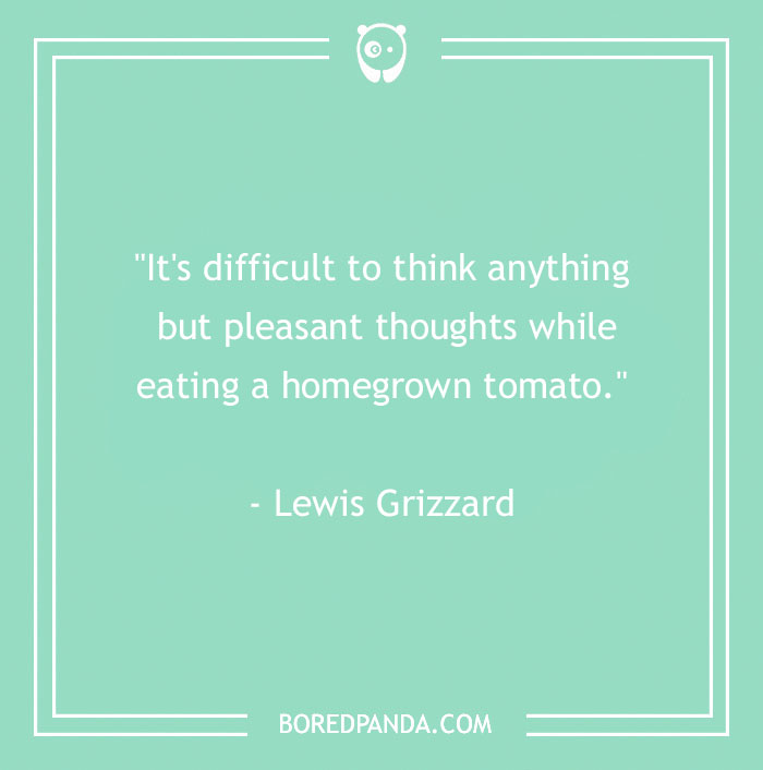 117 Food Quotes That Will Satisfy Your Inner Gourmand