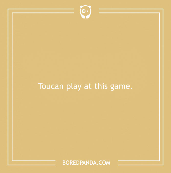 160 Bird Puns That Are Positively Owl-some