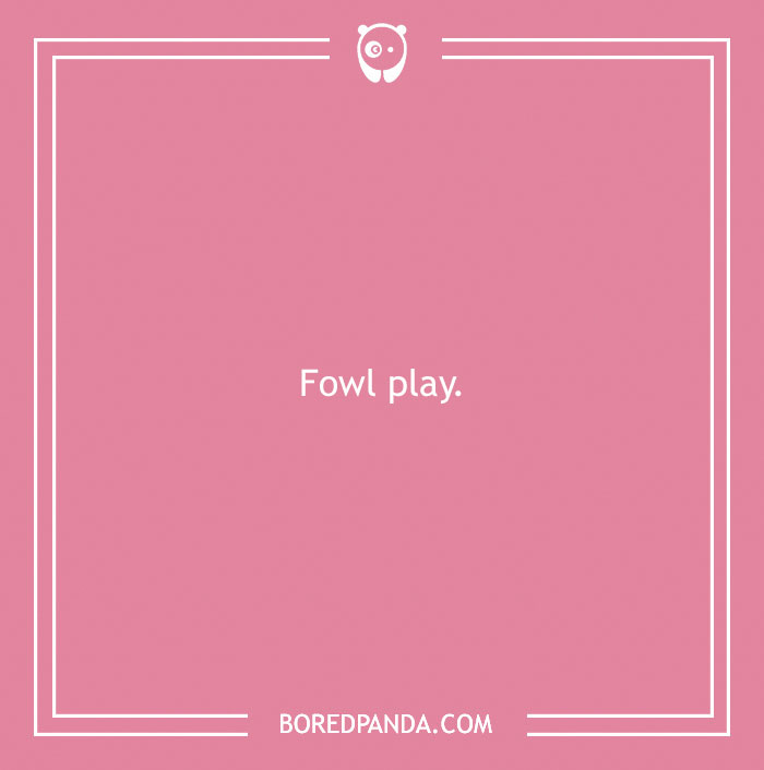 160 Bird Puns That Are Positively Owl-some