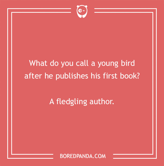 160 Bird Puns That Are Positively Owl-some