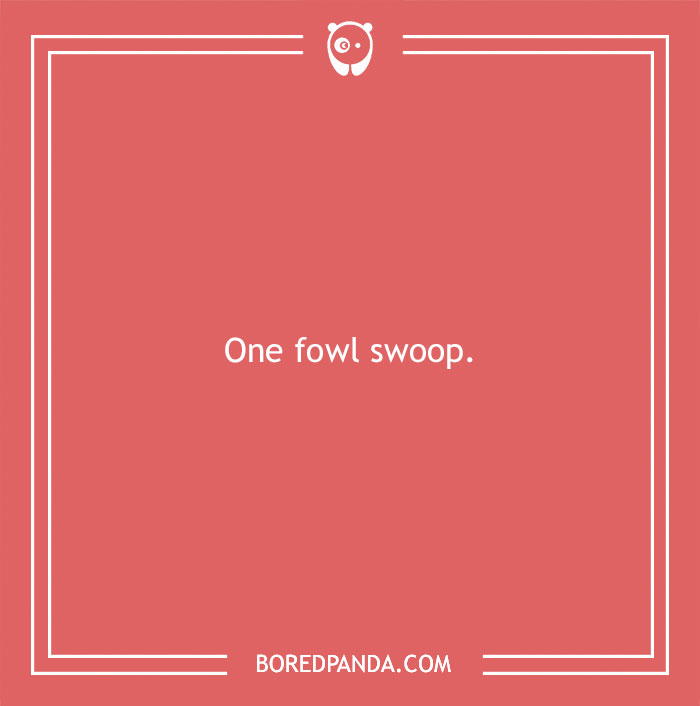 160 Bird Puns That Are Positively Owl-some