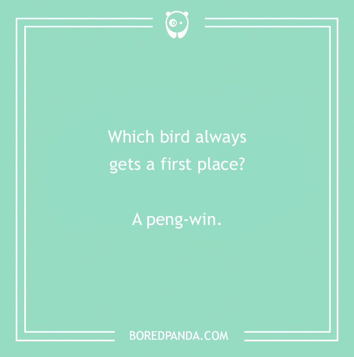 160 Bird Puns That Are Positively Owl-some