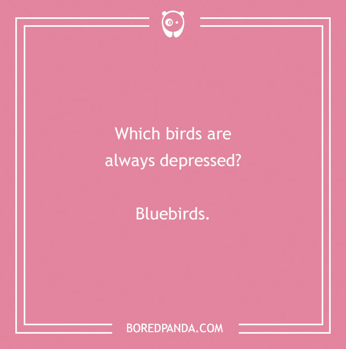 160 Bird Puns That Are Positively Owl-some