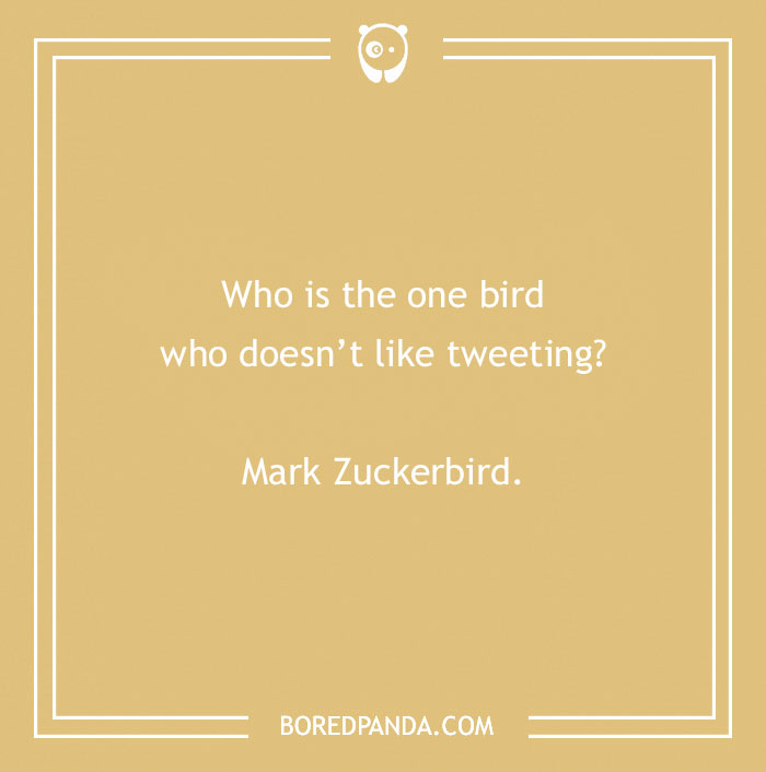 160 Bird Puns That Are Positively Owl-some