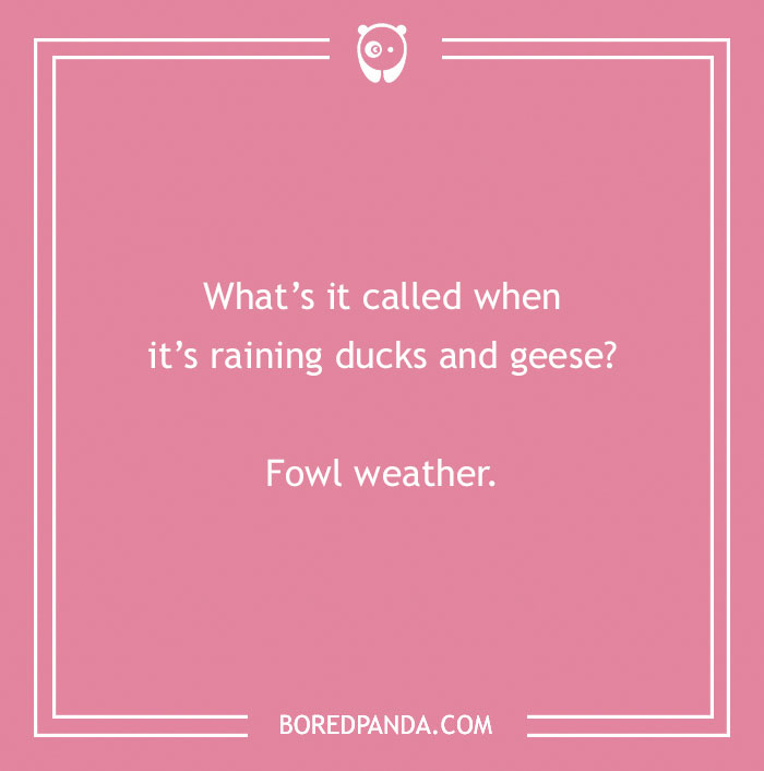 160 Bird Puns That Are Positively Owl-some