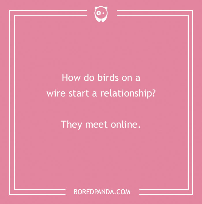 160 Bird Puns That Are Positively Owl-some