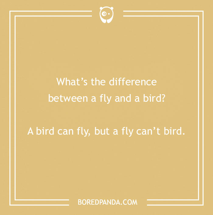 160 Bird Puns That Are Positively Owl-some