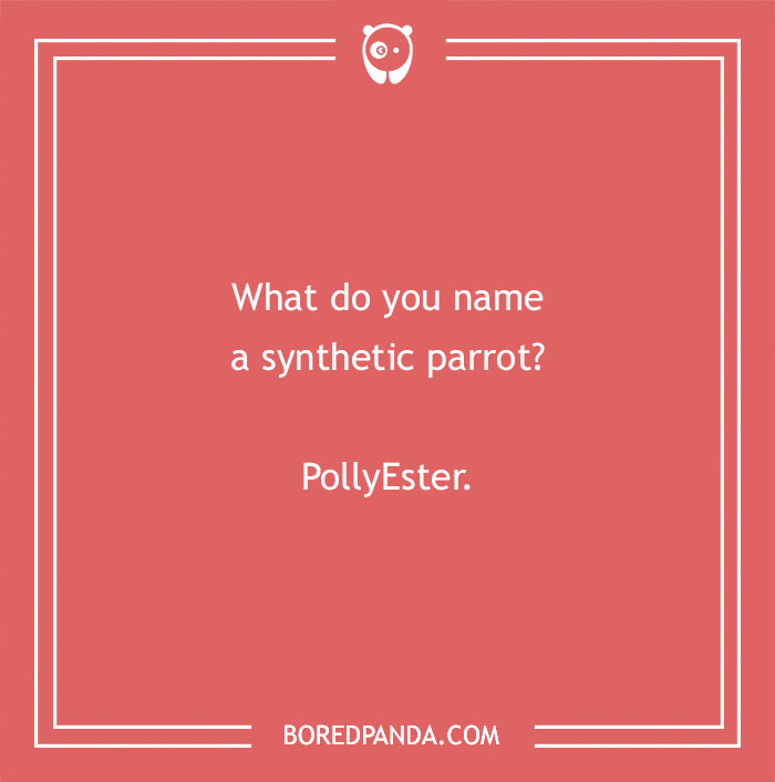 160 Bird Puns That Are Positively Owl-some