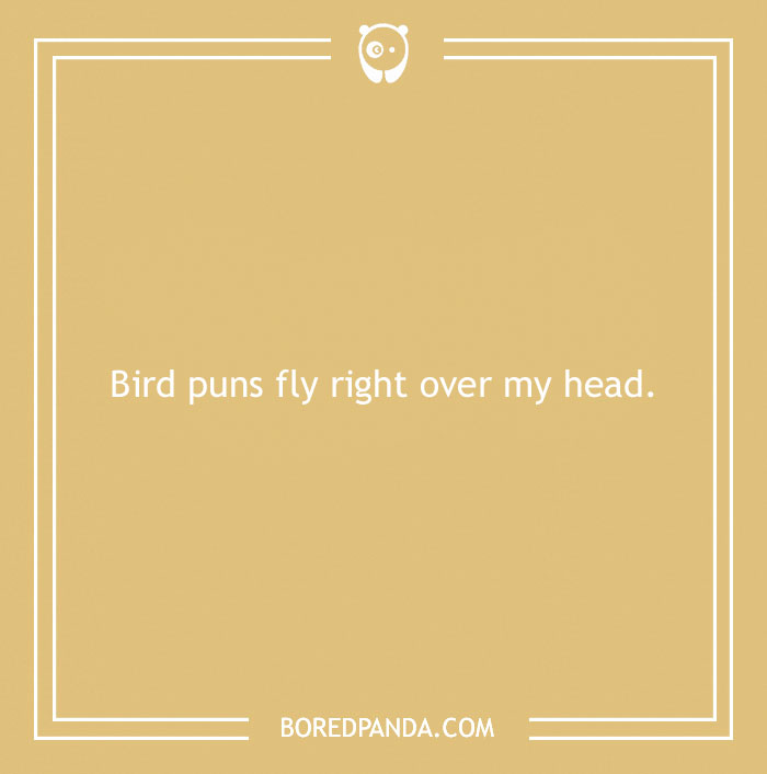 160 Bird Puns That Are Positively Owl-some