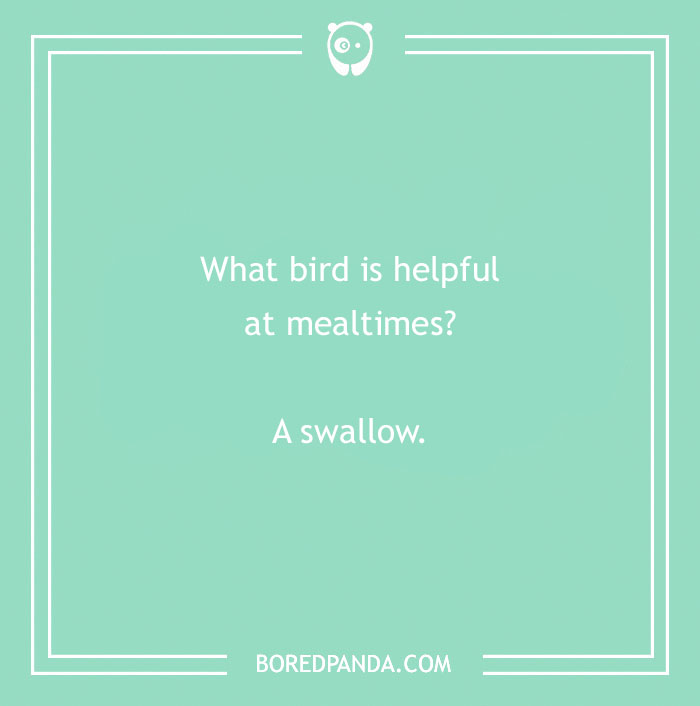 160 Bird Puns That Are Positively Owl-some