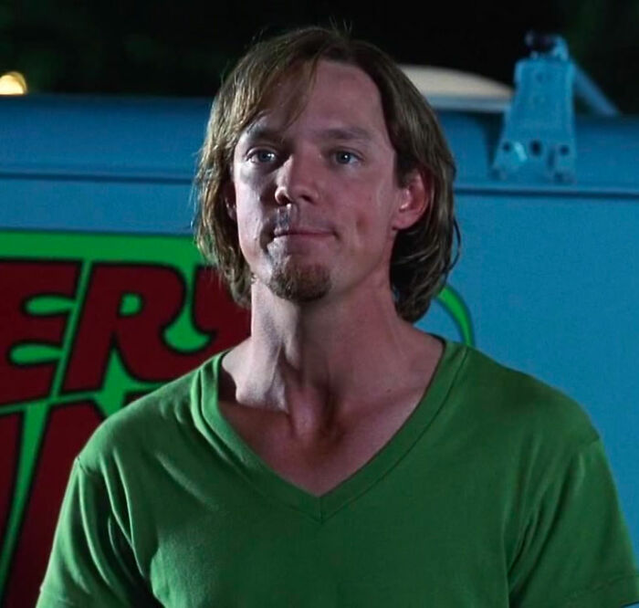 Shaggy wearing green shirt and looking from Scooby Doo